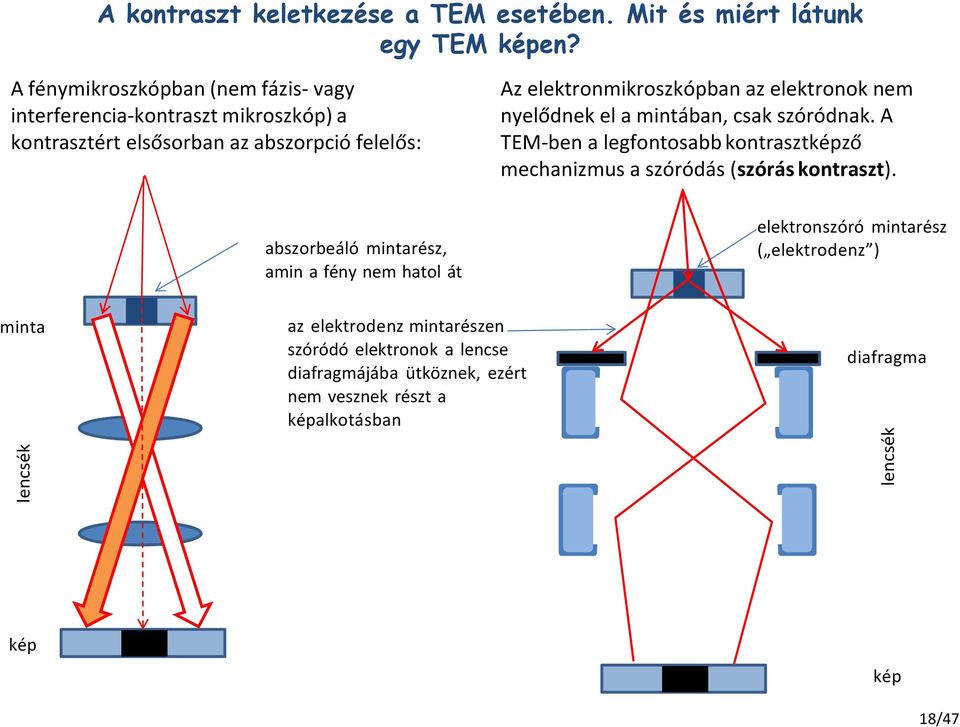 elektronok nem nyelődnek el a mintában, csak szóródnak. A TEM-ben a legfontosabb kontrasztképző mechanizmus a szóródás (szórás kontraszt).