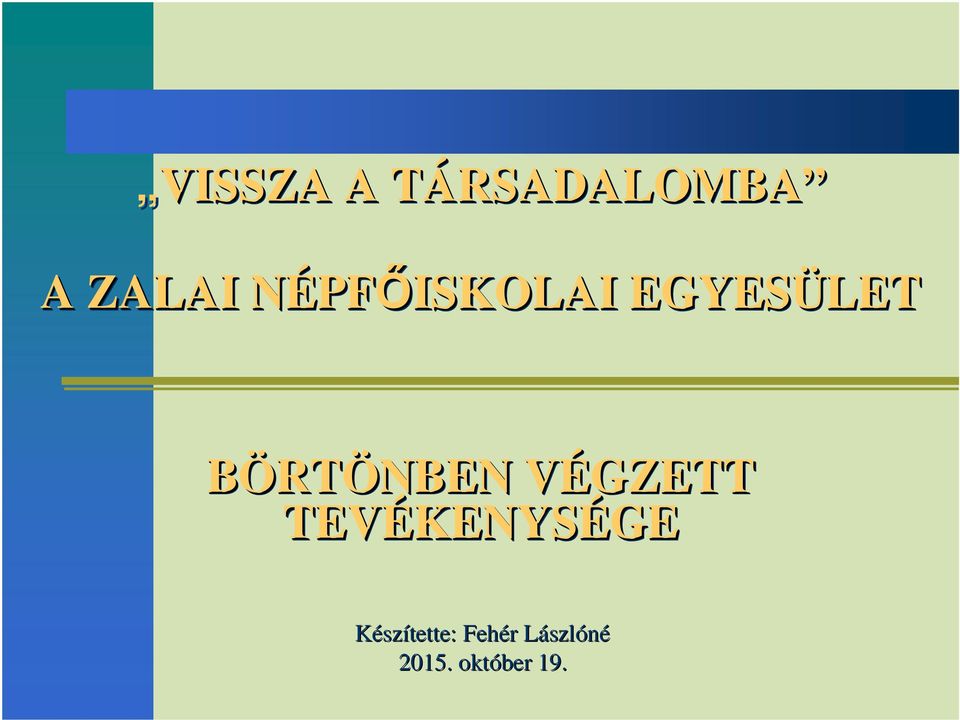 VÉGZETT TEVÉKENYSÉGE Készítette: