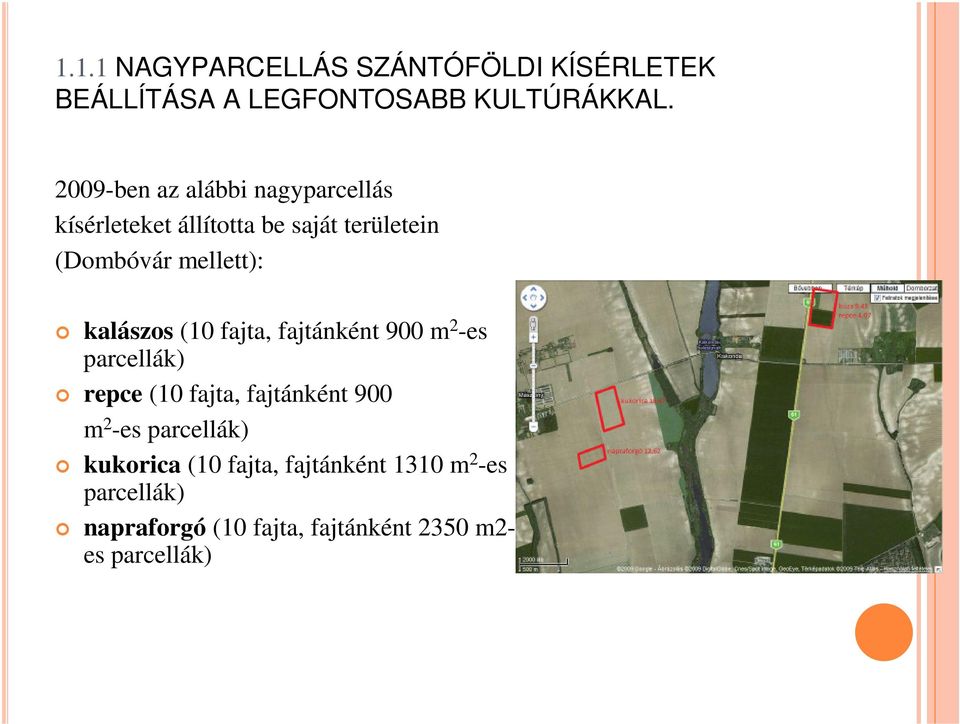 kalászos (10 fajta, fajtánként 900 m 2 -es parcellák) repce (10 fajta, fajtánként 900 m 2 -es