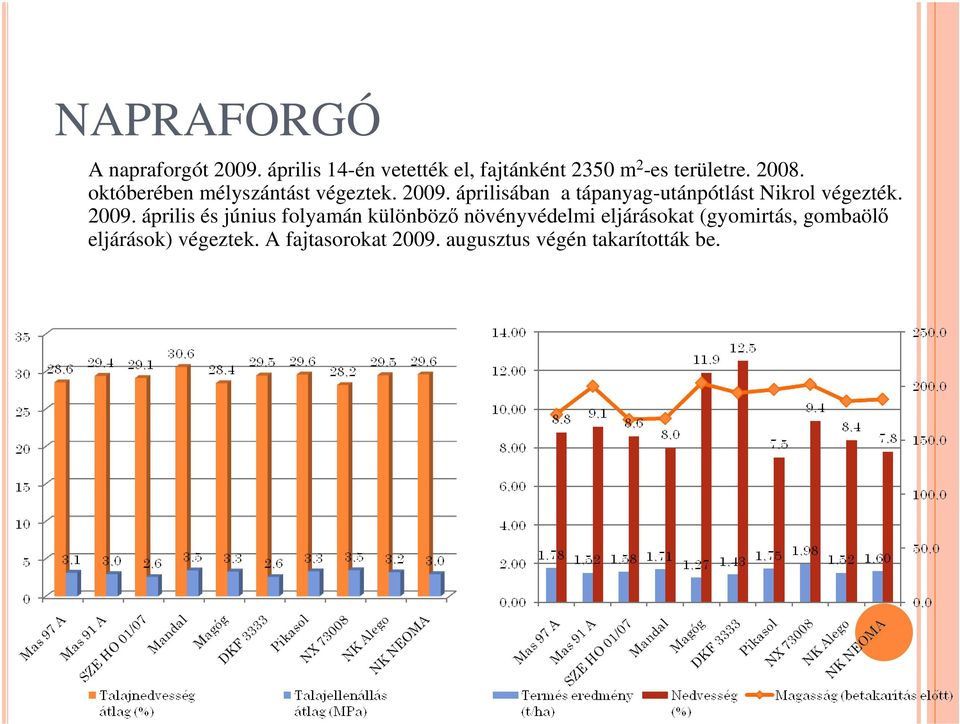 októberében mélyszántást végeztek. 2009.