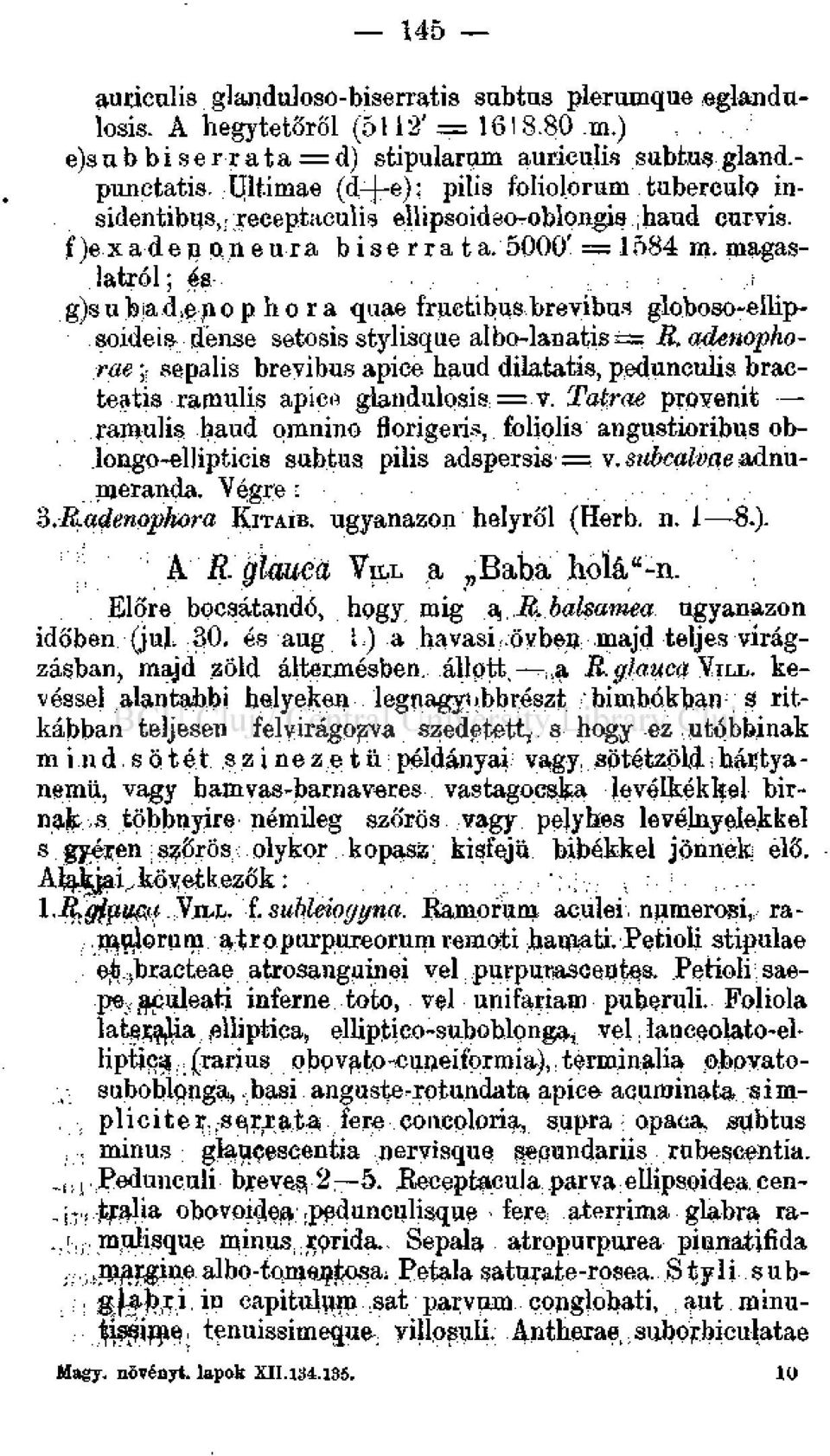 magaslatról ; és gjs ubadenophora quae f'ructibus brevibus globoso-ellipsoidcis denso setosis stylisque albo-laaatis= R.