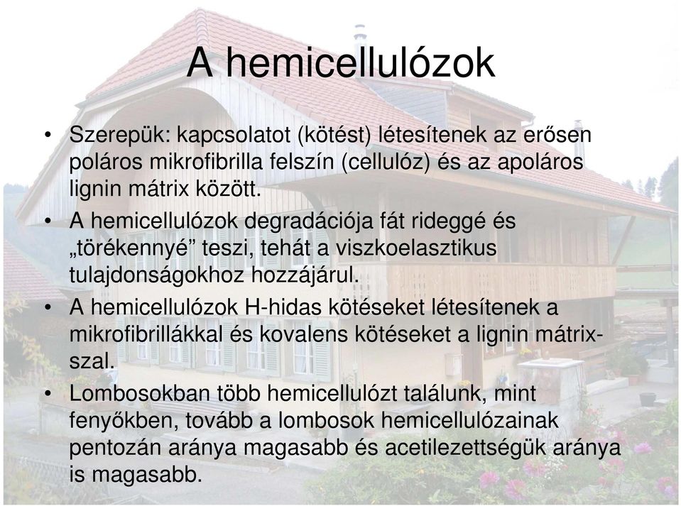 A hemicellulózok H-hidas kötéseket létesítenek a mikrofibrillákkal és kovalens kötéseket a lignin mátrixszal.