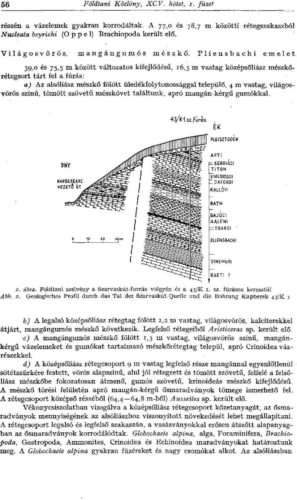 Pliensbachi emelet 59,0 és 75,5 m között változatos kifejlődésű, 16,5 m vastag középsőliász mészkőrétegsort tárt fel a fúrás: a) Az alsóliász mészkő fölött üledékfolytonossággal települő, 4 m vastag,