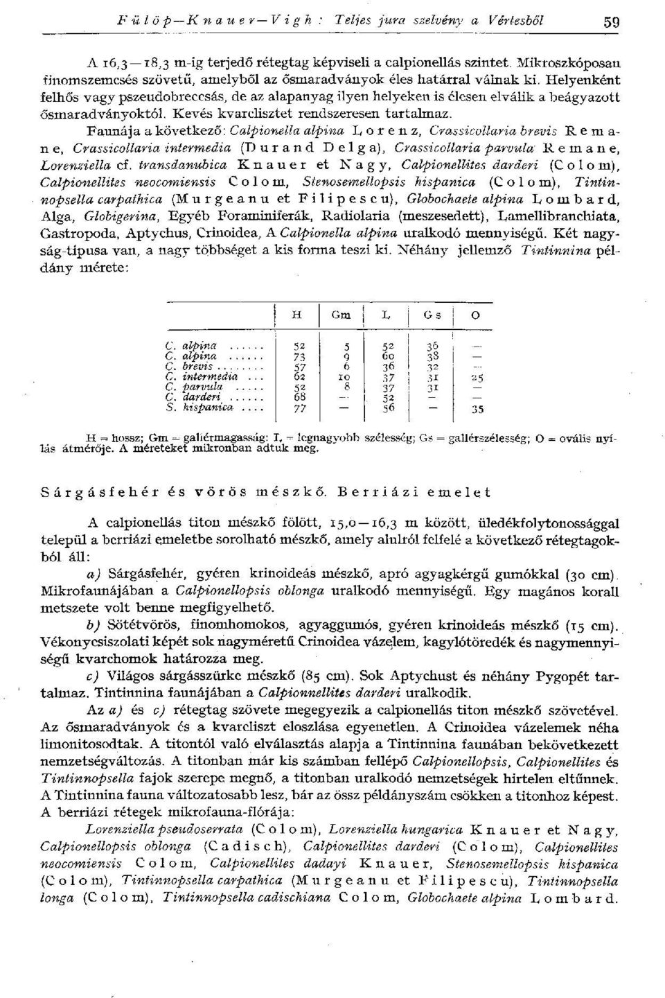 Helyenként felhős vagy pszeudobreccsás, de az alapanyag ilyen helyeken is élesen elválik a beágyazott ősmaradványoktól. Kevés kvarclisztet rendszeresen tartalmaz.