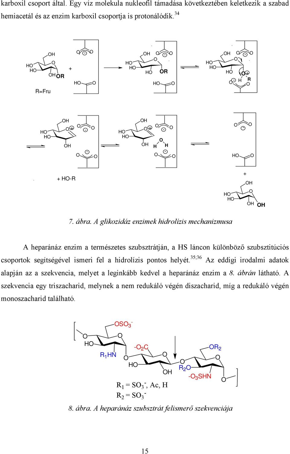 A glikozidáz enzimek hidrolízis mechanizmusa A heparánáz enzim a természetes szubsztrátján, a HS láncon különböző szubsztitúciós csoportok segítségével ismeri fel a hidrolízis pontos helyét.