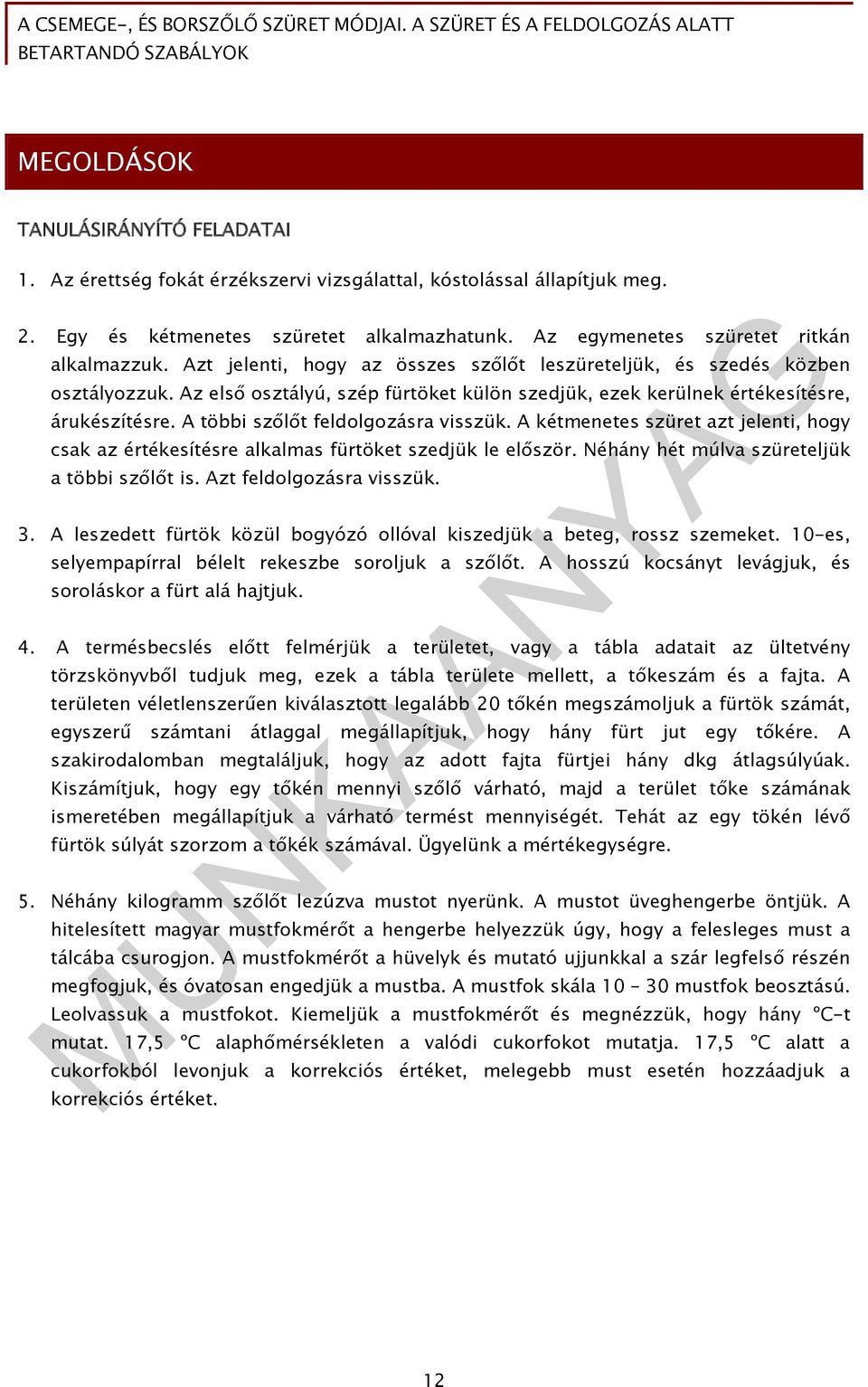 A többi szőlőt feldolgozásra visszük. A kétmenetes szüret azt jelenti, hogy csak az értékesítésre alkalmas fürtöket szedjük le először. Néhány hét múlva szüreteljük a többi szőlőt is.