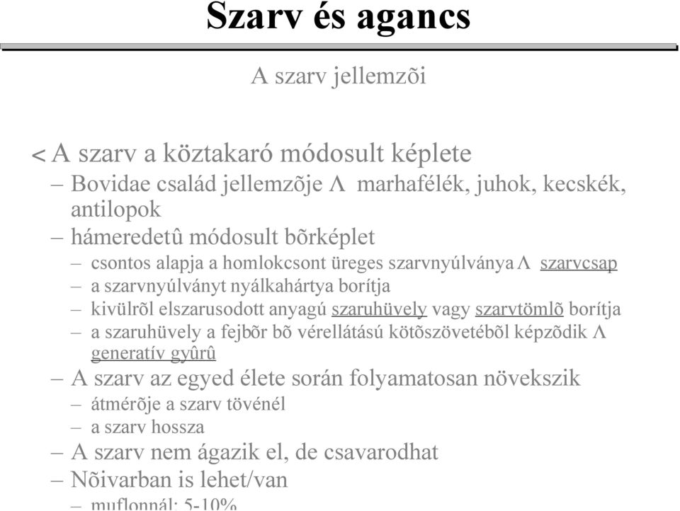 elszarusodott anyagú szaruhüvely vagy szarvtömlõ borítja a szaruhüvely a fejbõr bõ vérellátású kötõszövetébõl képzõdik L generatív gyûrû A szarv