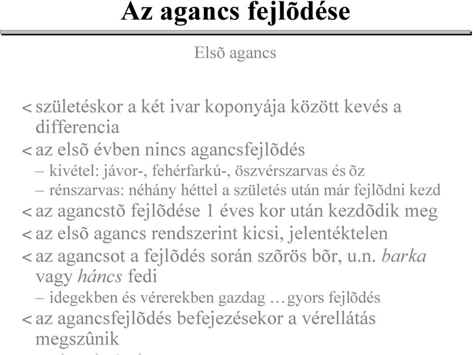 az agancstõ fejlõdése 1 éves kor után kezdõdik meg < az elsõ agancs rendszerint kicsi, jelentéktelen < az agancsot a fejlõdés