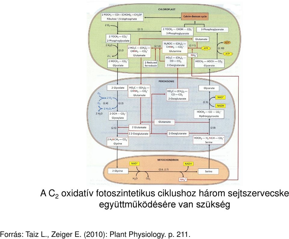 együttműködésére van szükség Forrás: