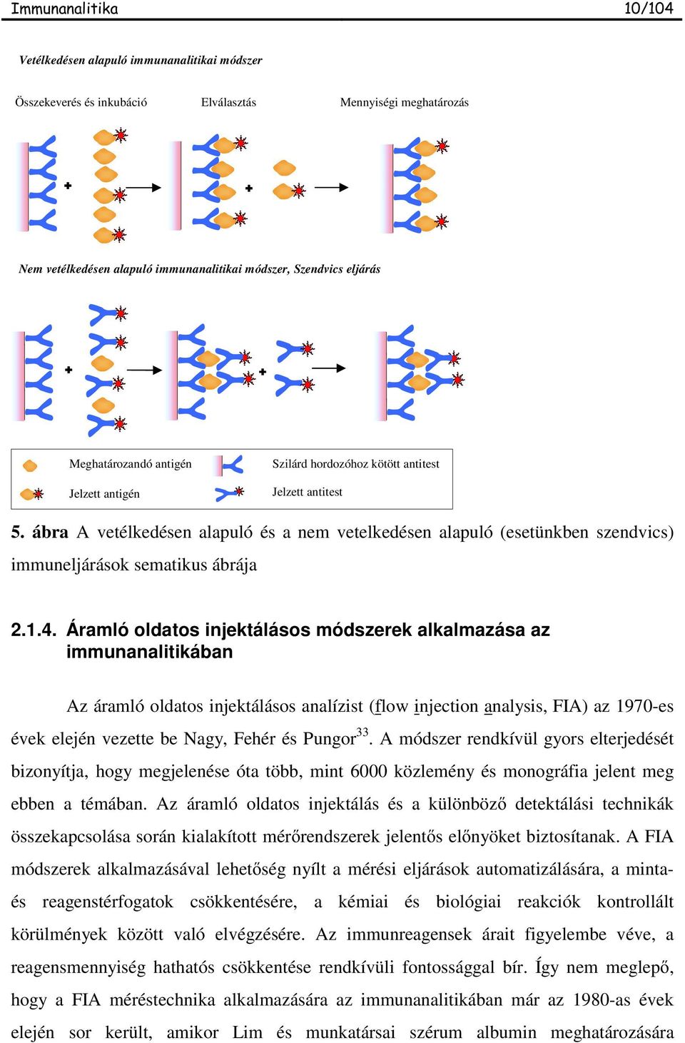 Áramló oldatos injektálásos módszerek alkalmazása az immunanalitikában Az áramló oldatos injektálásos analízist (flow injection analysis, FIA) az 1970-es évek elején vezette be Nagy, Fehér és Pungor