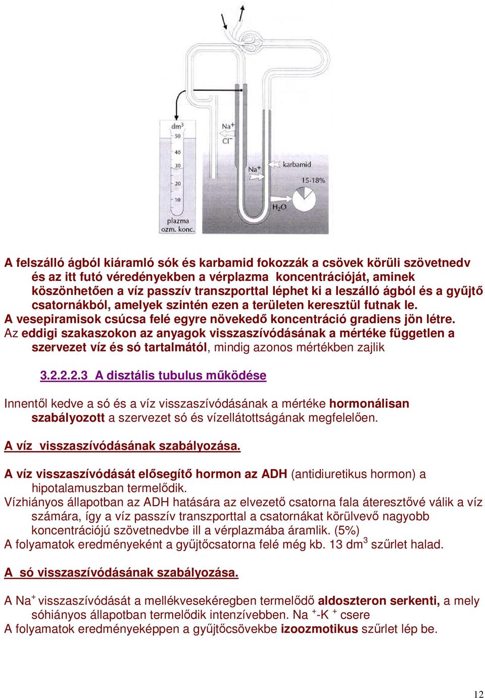 Az eddigi szakaszokon az anyagok visszaszívódásának a mértéke független a szervezet víz és só tartalmától, mindig azonos mértékben zajlik 3.2.