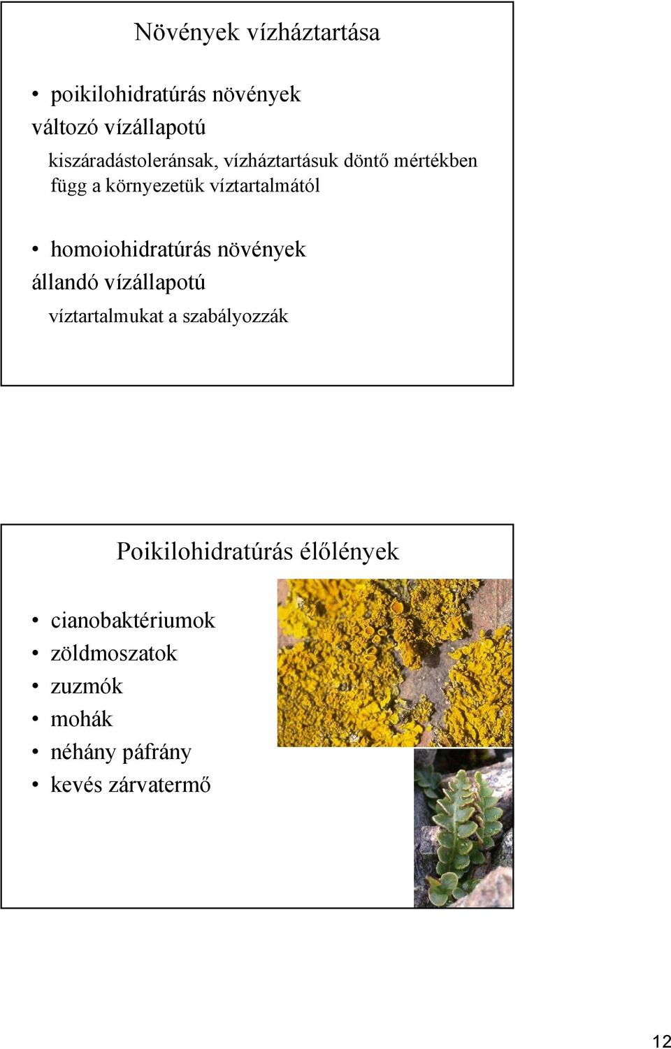 víztartalmától homoiohidratúrás növények állandó vízállapotú víztartalmukat a