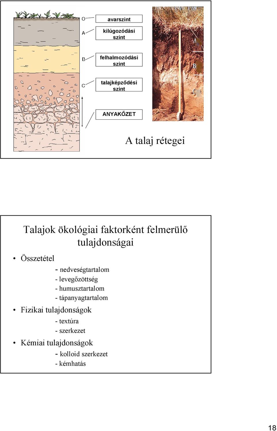 nedveségtartalom - levegőzöttség - humusztartalom - tápanyagtartalom Fizikai