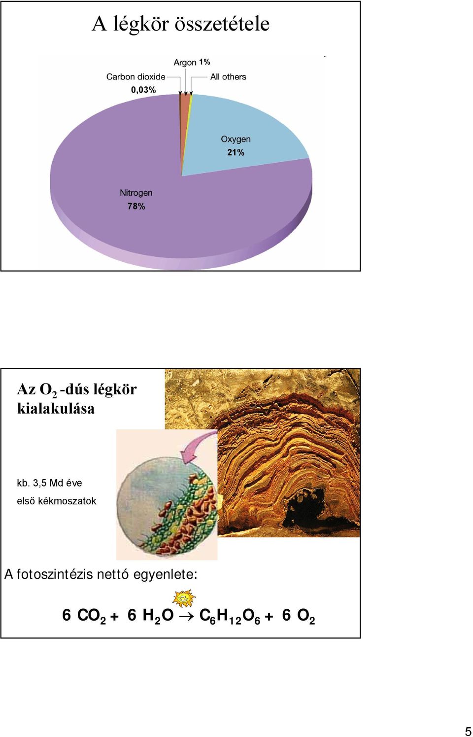 3,5 Md éve első kékmoszatok A fotoszintézis