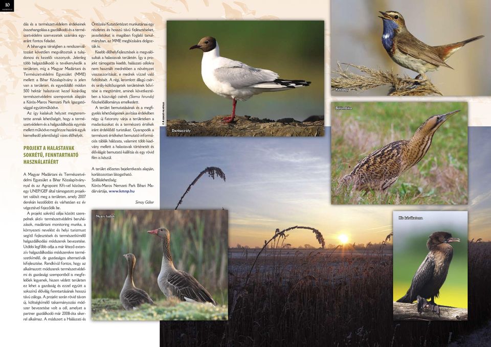 A projekt sokrétű céljai között szerepelnek aktív természetvédelmi beruházások, madártani monitoring munka, a környezeti nevelést és helyi turizmust segítő fejlesztések és természetkímélő