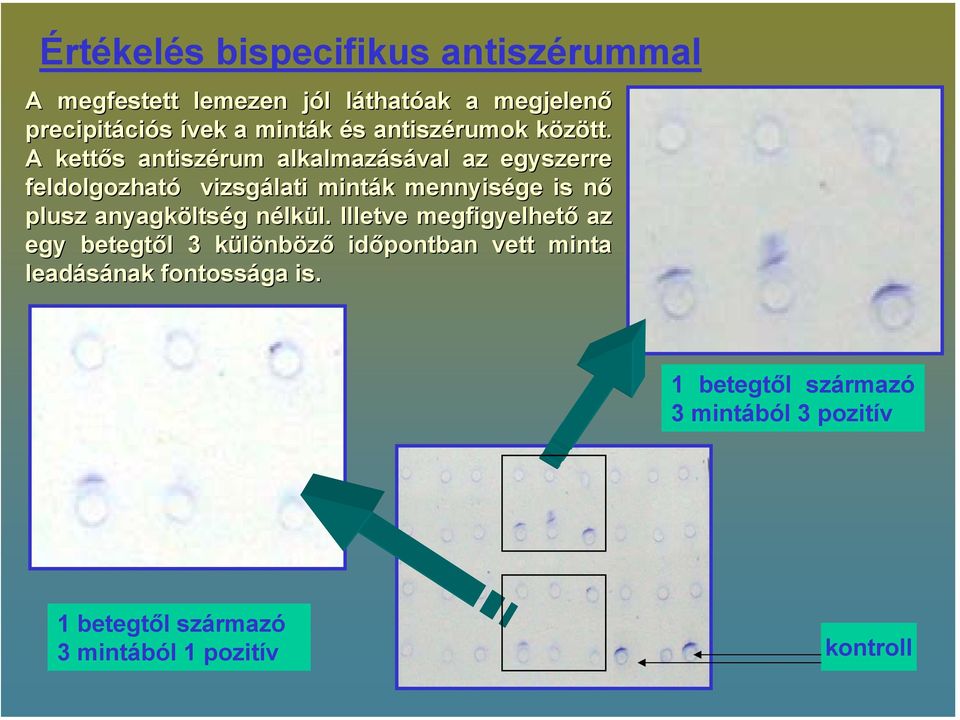 A kettős antiszérum alkalmazásával az egyszerre feldolgozható vizsgálati minták k mennyisége is nőn plusz anyagkölts