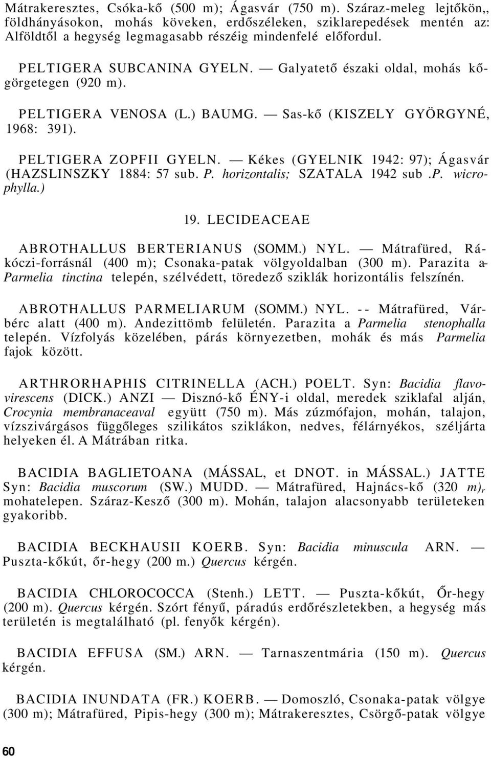 Galyatető északi oldal, mohás kőgörgetegen (920 m). PELTIGERA VENOSA (L.) BAUMG. Sas-kő (KISZELY GYÖRGYNÉ, 1968: 391). PELTIGERA ZOPFII GYELN.