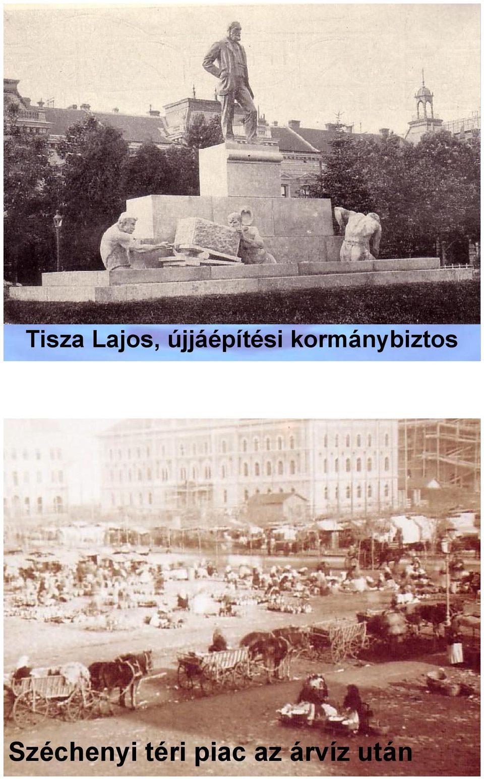 kormánybiztos