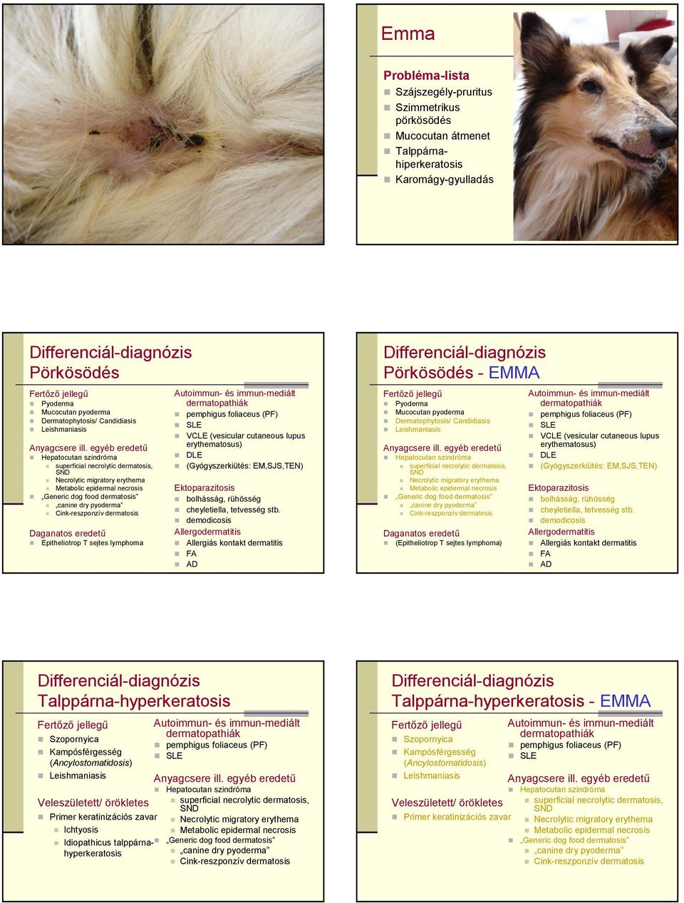 Cink-reszponzív dermatosis Daganatos eredető Epitheliotrop T sejtes lymphoma VCLE (vesicular cutaneous lupus erythematosus) DLE (Gyógyszerkiütés: EM,SJS,TEN) Ektoparazitosis bolhásság, rühösség