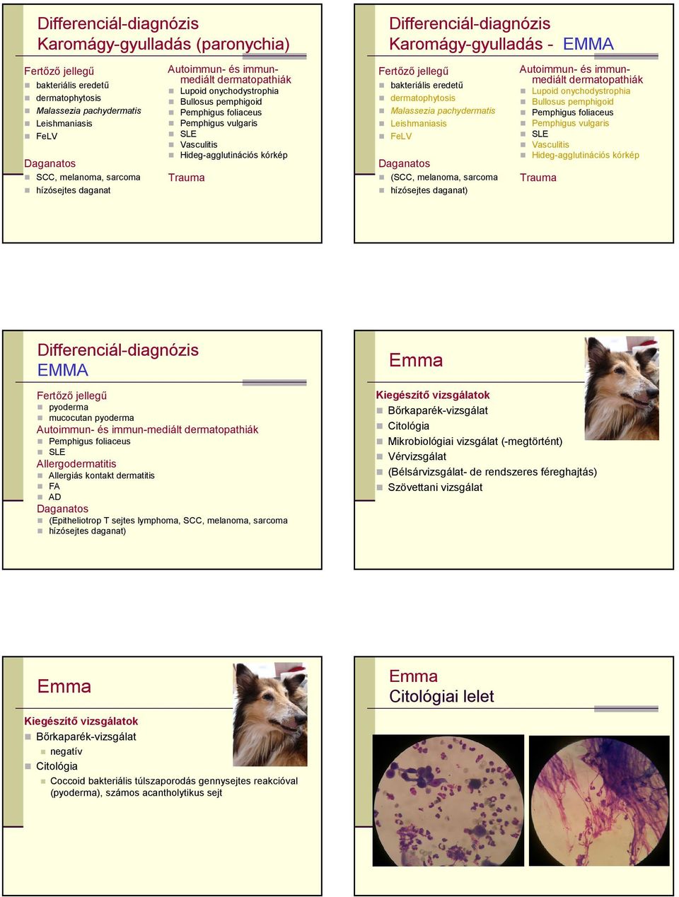 (SCC, melanoma, sarcoma hízósejtes daganat) Autoimmun- és immunmediált Lupoid onychodystrophia Bullosus pemphigoid Pemphigus vulgaris Vasculitis Hideg-agglutinációs kórkép Trauma EMMA pyoderma