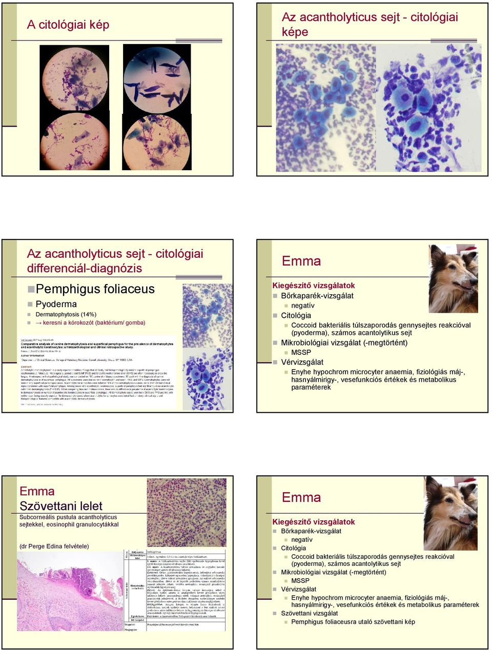 Vérvizsgálat Enyhe hypochrom microcyter anaemia, fiziológiás máj-, hasnyálmirigy-, vesefunkciós értékek és metabolikus paraméterek Szövettani lelet Subcorneális pustula acantholyticus sejtekkel,