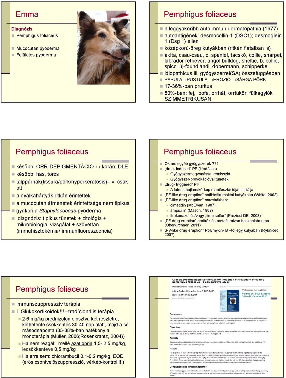 gyógyszerrel(sa) összefüggésben PAPULA PUSTULA EROZIÓ SÁRGA PÖRK 17-36%-ban pruritus 80%-ban: fej, pofa, orrhát, orrtükör, fülkagylók SZIMMETRIKUSAN késıbb: ORR-DEPIGMENTÁCIÓ korán: DLE késıbb: has,