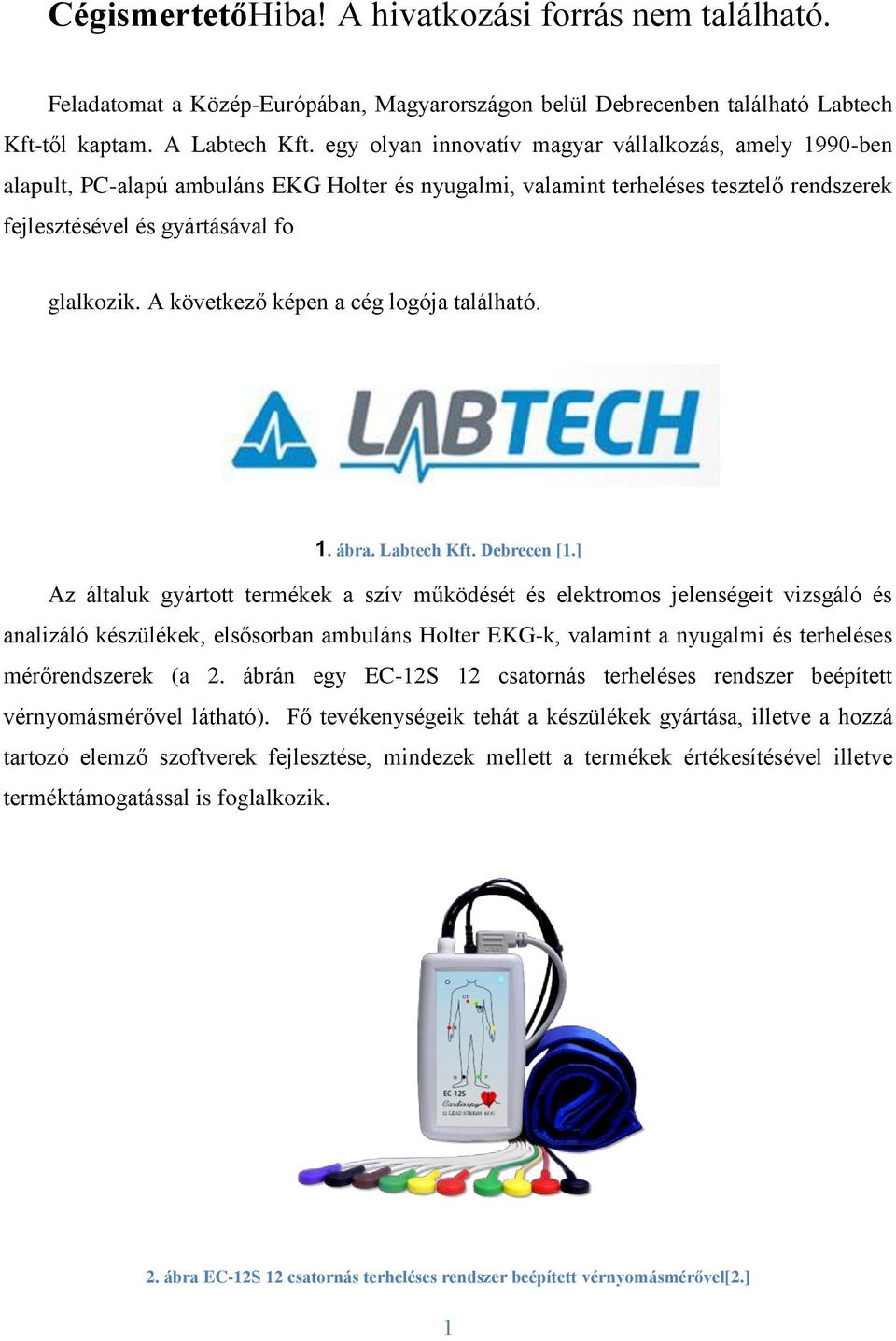 A következő képen a cég logója található. 1. ábra. Labtech Kft. Debrecen [1.