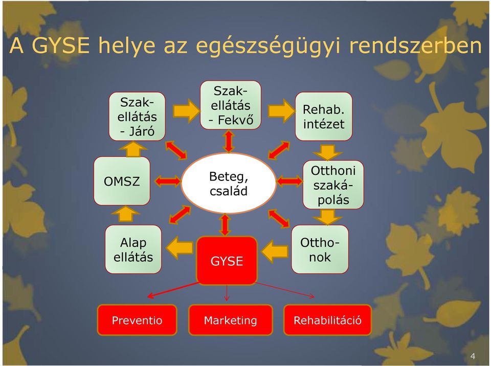 Szakellátás - Fekvı Rehab.