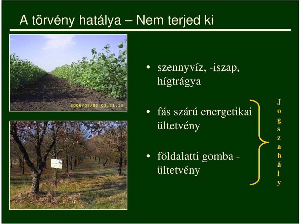 szárú energetikai ültetvény