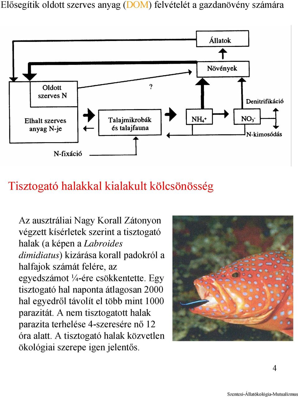 számát felére, az egyedszámot ¼-ére csökkentette.