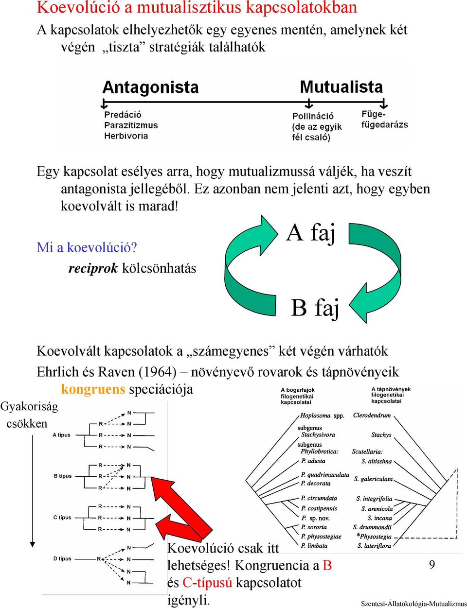 Ez azonban nem jelenti azt, hogy egyben koevolvált is marad! Mi a koevolúció?