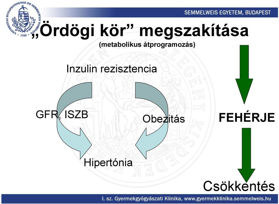 Inzulin rezisztencia GFR, ISZB