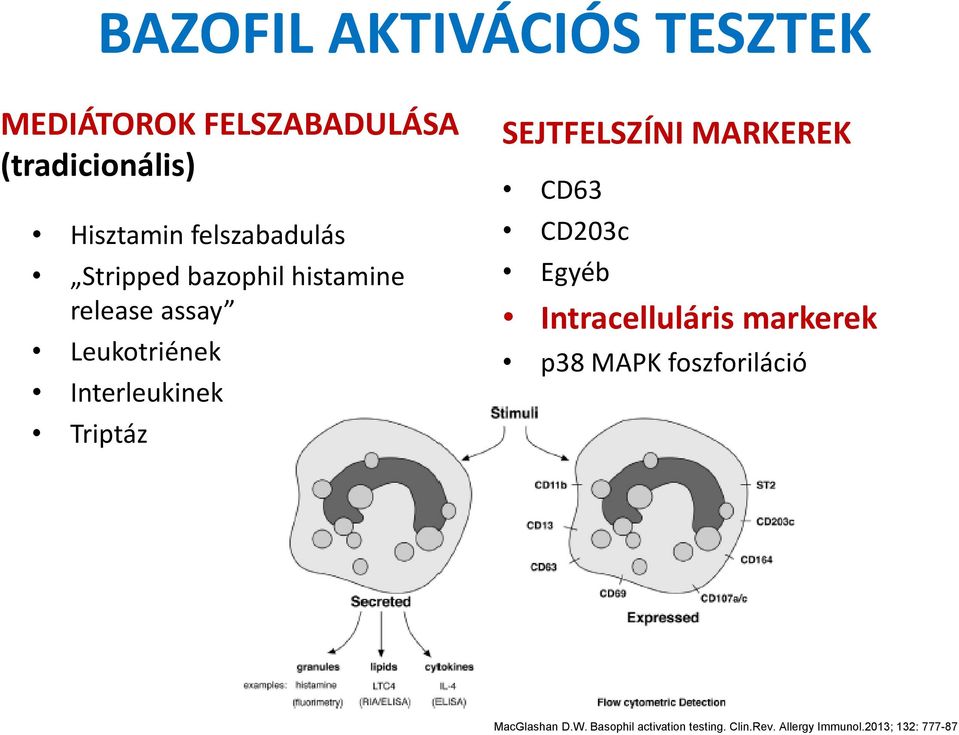 Triptáz SEJTFELSZÍNI MARKEREK CD63 CD203c Egyéb Intracelluláris markerek p38 MAPK