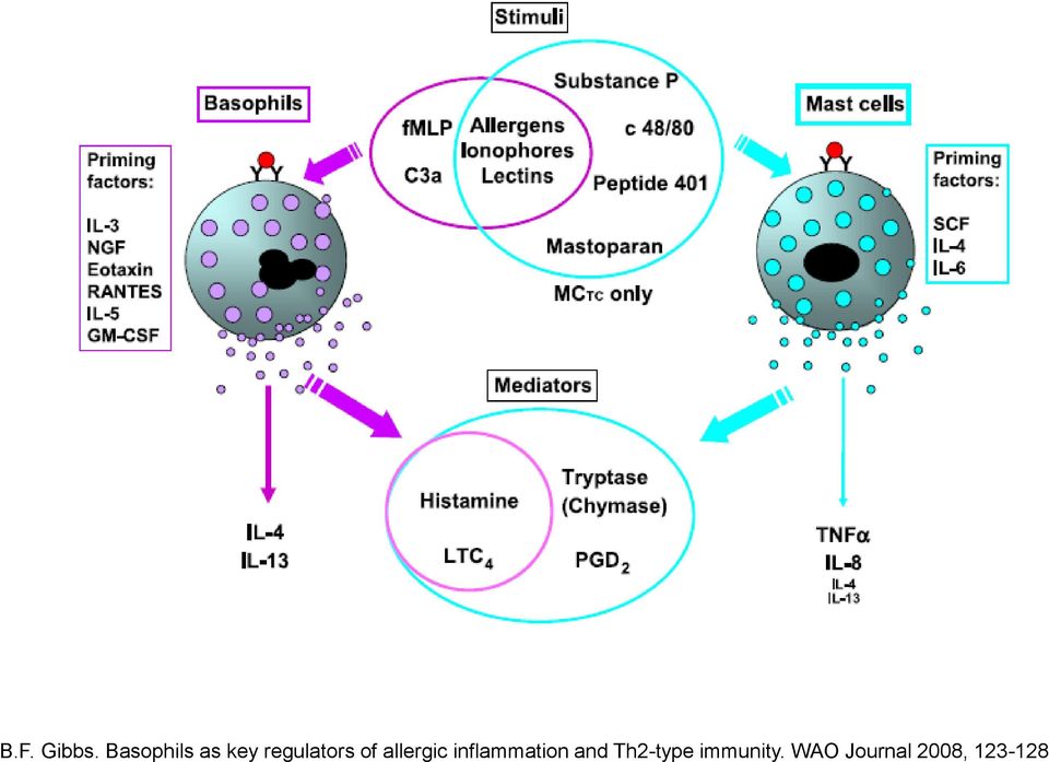 of allergic inflammation and