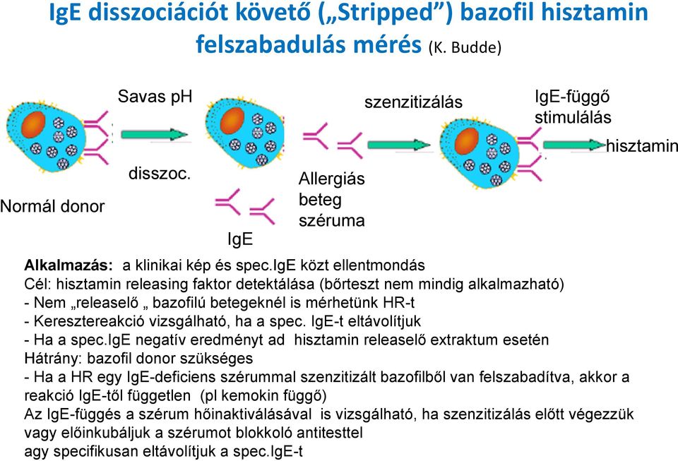 ige közt ellentmondás Cél: hisztamin releasing faktor detektálása (bőrteszt nem mindig alkalmazható) - Nem releaselő bazofilú betegeknél is mérhetünk HR-t - Keresztereakció vizsgálható, ha a spec.