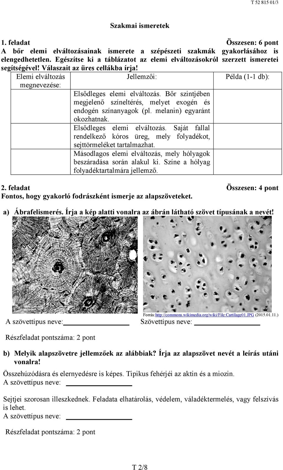 Bőr szintjében megjelenő színeltérés, melyet exogén és endogén színanyagok (pl. melanin) egyaránt okozhatnak. Elsődleges elemi elváltozás.