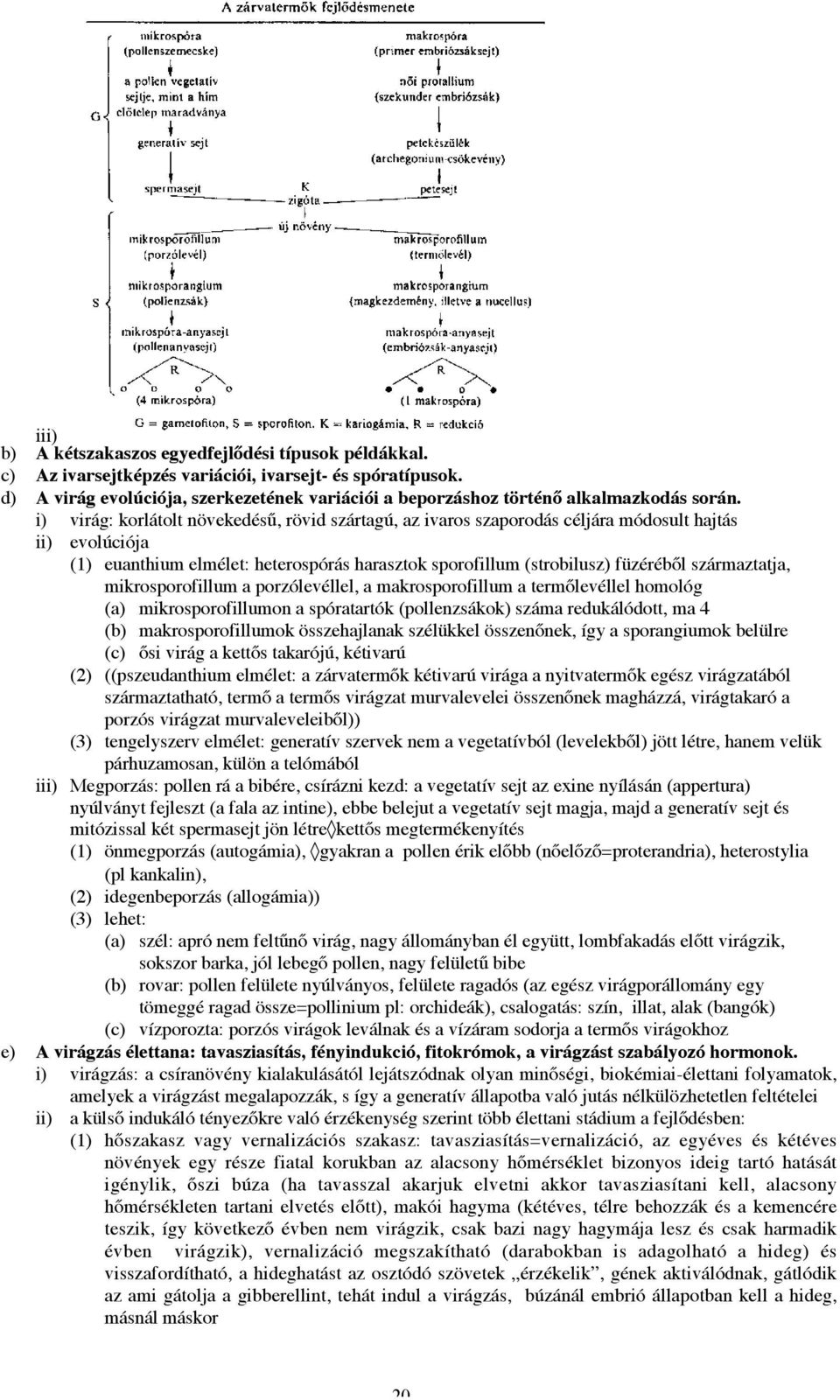 i) virág: korlátolt növekedésű, rövid szártagú, az ivaros szaporodás céljára módosult hajtás ii) evolúciója (1) euanthium elmélet: heterospórás harasztok sporofillum (strobilusz) füzéréből