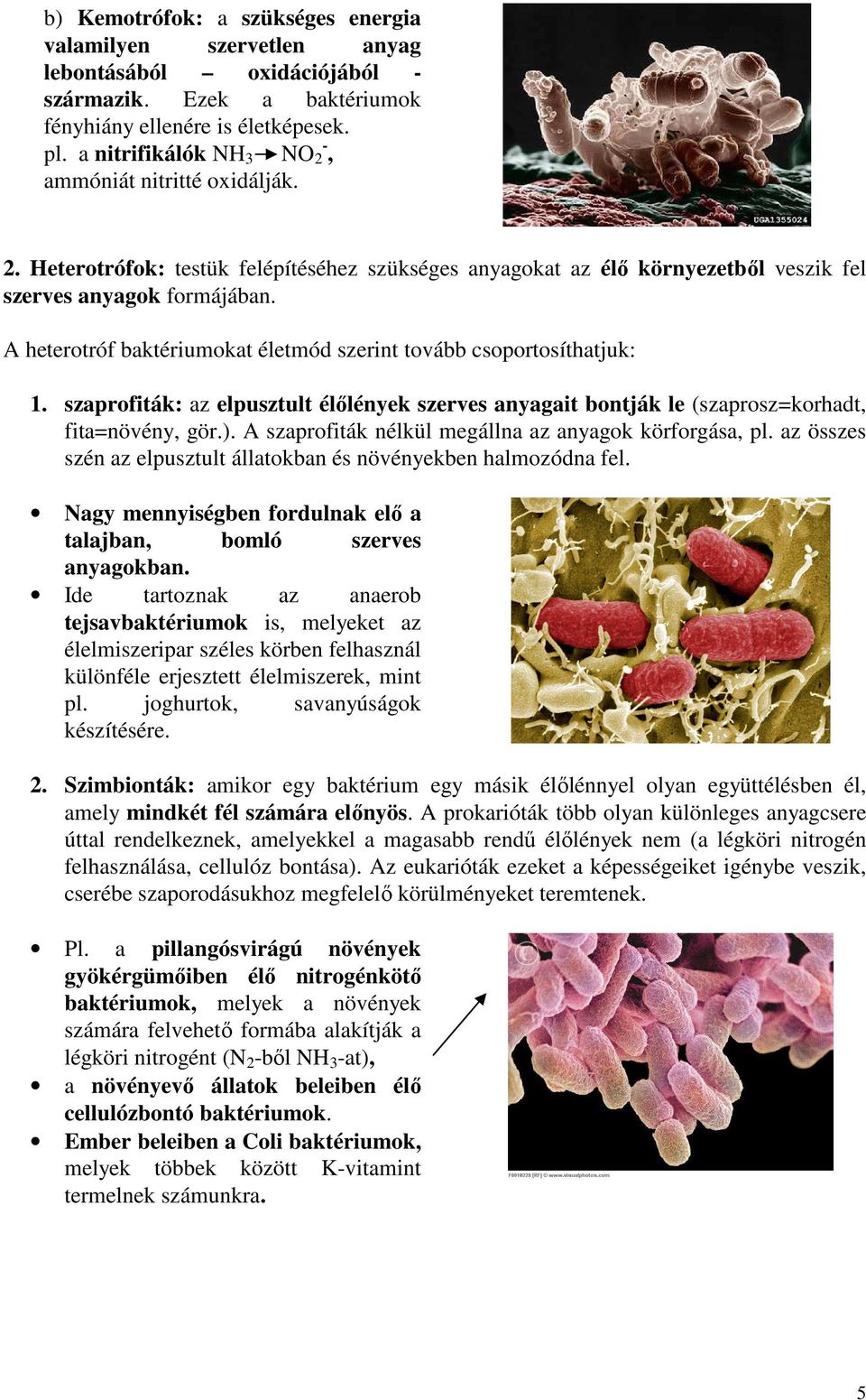 A heterotróf baktériumokat életmód szerint tovább csoportosíthatjuk: 1. szaprofiták: az elpusztult élőlények szerves anyagait bontják le (szaprosz=korhadt, fita=növény, gör.).