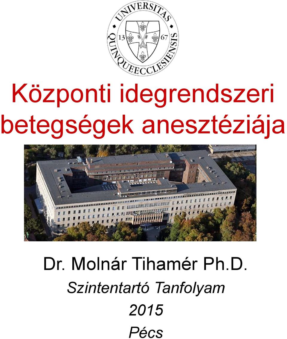 Dr. Molnár Tihamér Ph.D.