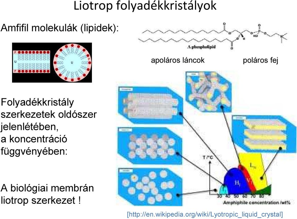 jelenlétében, a koncentráció függvényében: A biológiai membrán