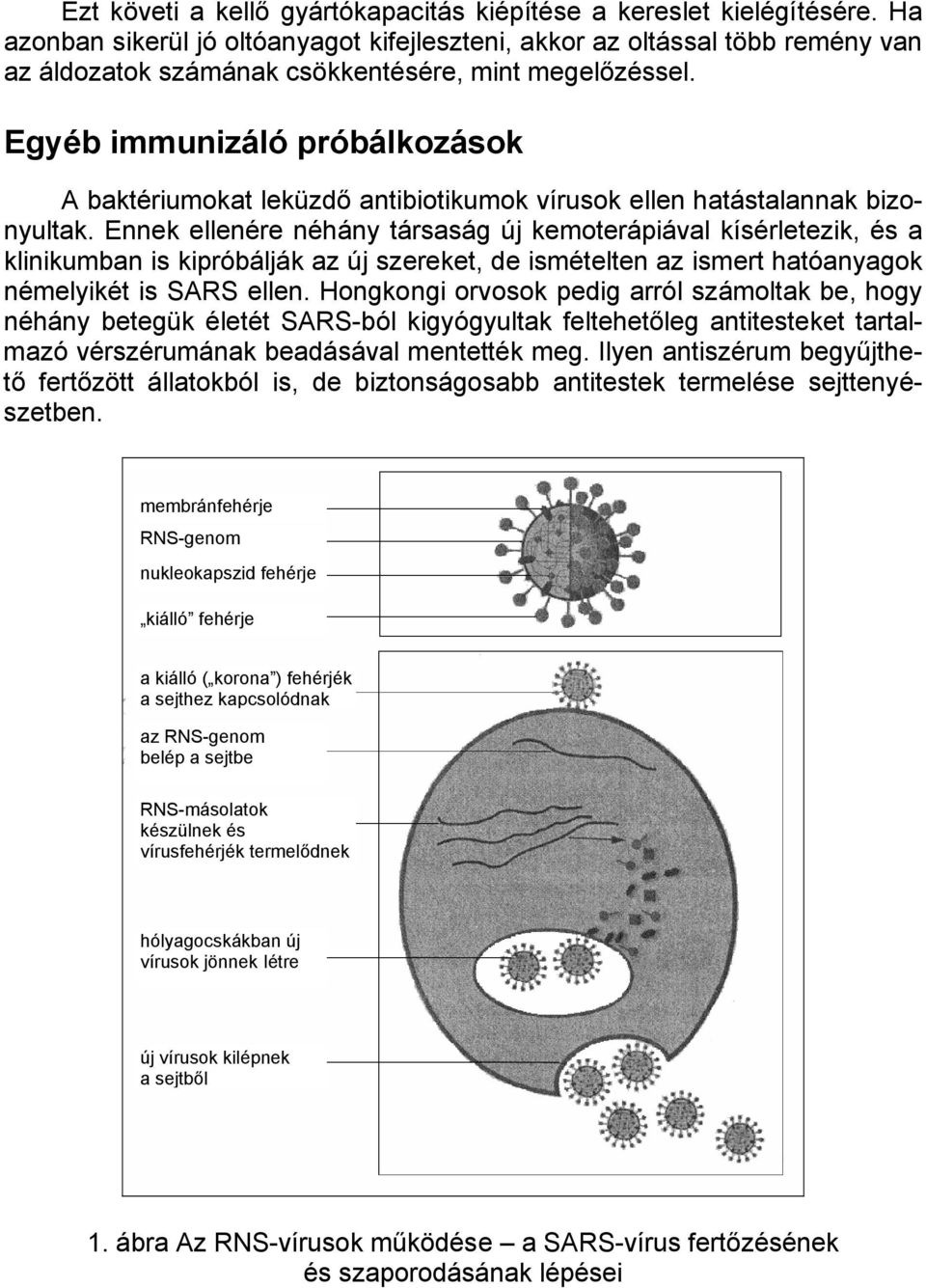 Egyéb immunizáló próbálkozások A baktériumokat leküzdő antibiotikumok vírusok ellen hatástalannak bizonyultak.