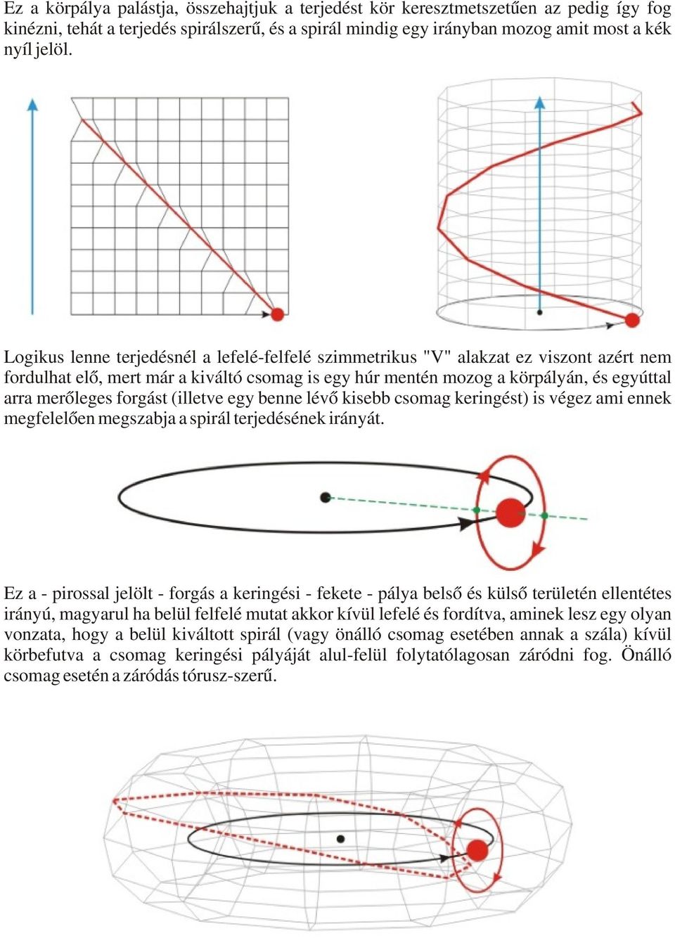 forgást (illetve egy benne lévő kisebb csomag keringést) is végez ami ennek megfelelően megszabja a spirál terjedésének irányát.