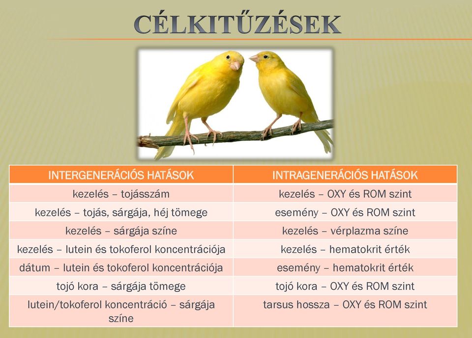 koncentráció sárgája színe INTRAGENERÁCIÓS HATÁSOK kezelés OXY és ROM szint esemény OXY és ROM szint kezelés