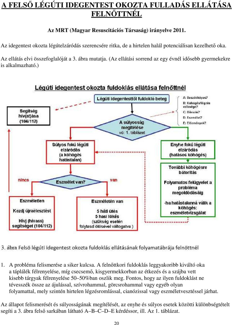 (Az ellátási sorrend az egy évnél idısebb gyermekekre is alkalmazható.) 1. A probléma felismerése a siker kulcsa.