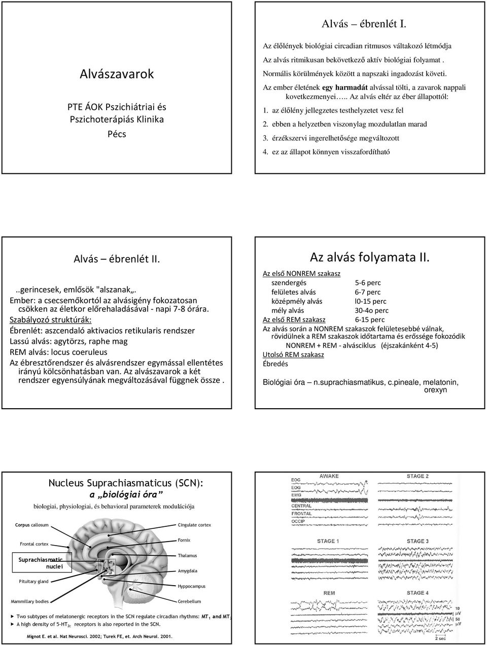 Normális körülmények között a napszaki ingadozást követi. Az ember életének egy harmadát alvással tölti, a zavarok nappali kovetkezmenyei.. Az alvás eltér az éber állapottól: 1.