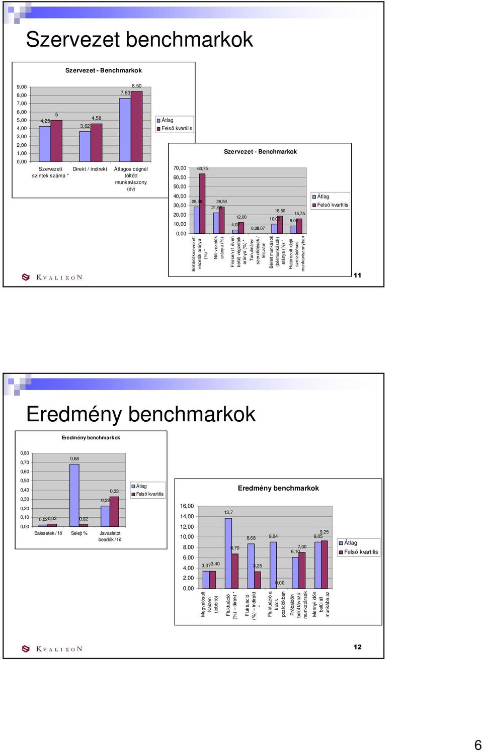 12,00 Frissen (1 éven belül) végzettek aránya (%) * 0,06 0,07 Tanulmányi szerzıdések / létszám 18,50 10,02 Bérelt munkások (bérmunkások) aránya (%) * 8,00 15,75 Határozott idejő szerzıdéses