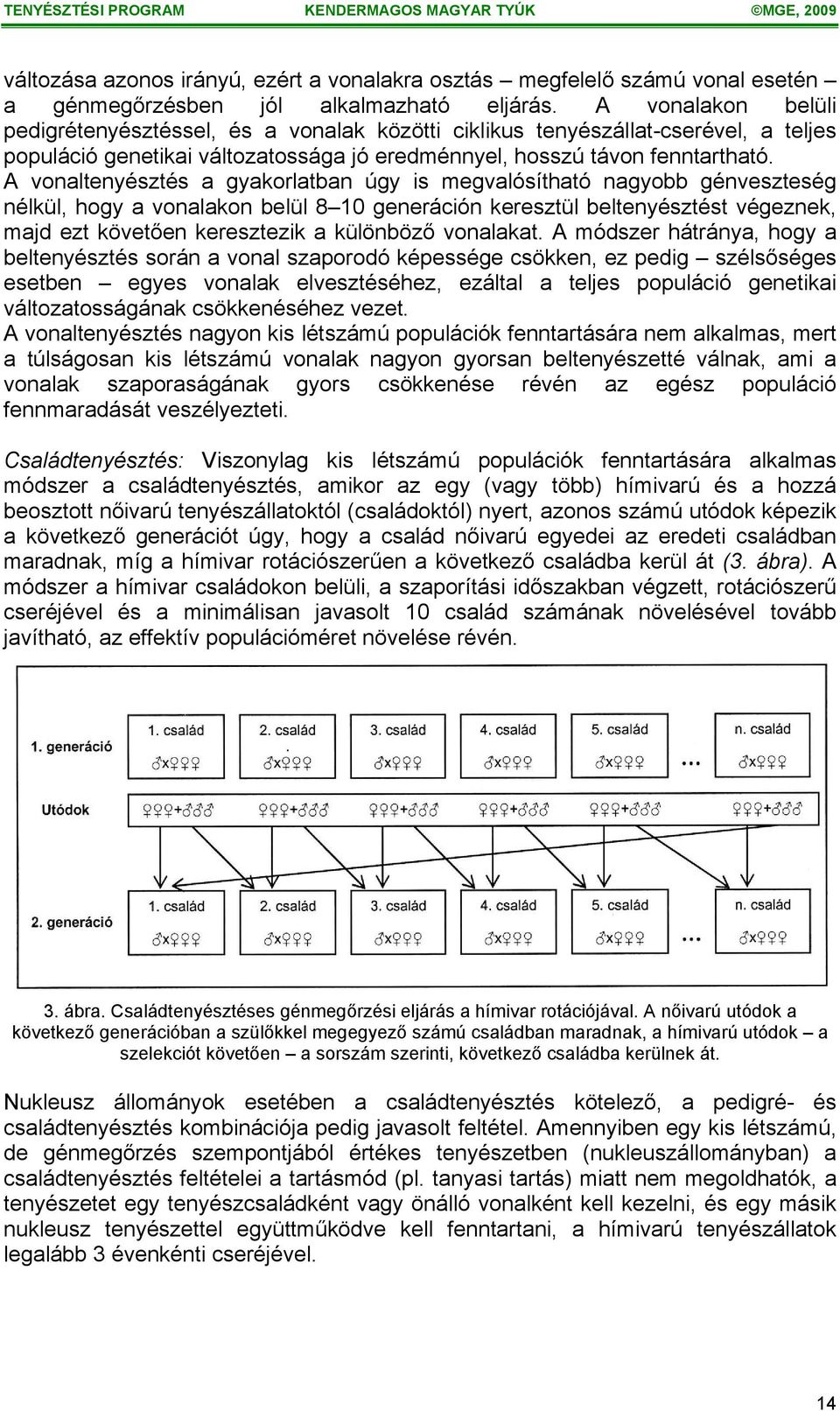 A vonaltenyésztés a gyakorlatban úgy is megvalósítható nagyobb génveszteség nélkül, hogy a vonalakon belül 8 10 generáción keresztül beltenyésztést végeznek, majd ezt követően keresztezik a különböző