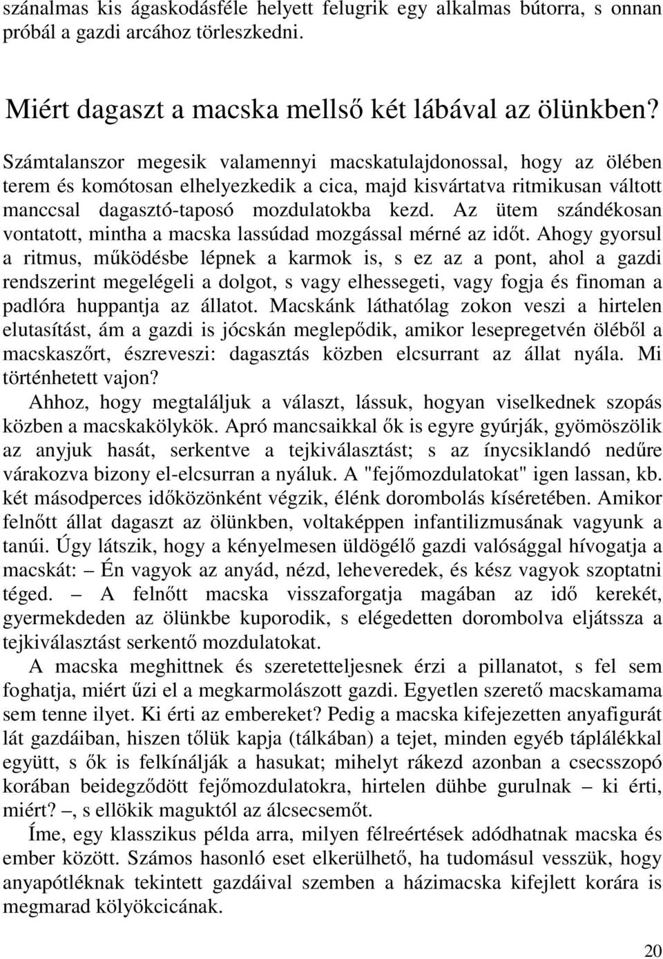 Az ütem szándékosan vontatott, mintha a macska lassúdad mozgással mérné az időt.