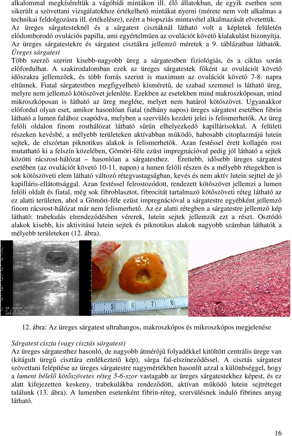 értékelésre), ezért a biopsziás mintavétel alkalmazását elvetettük.