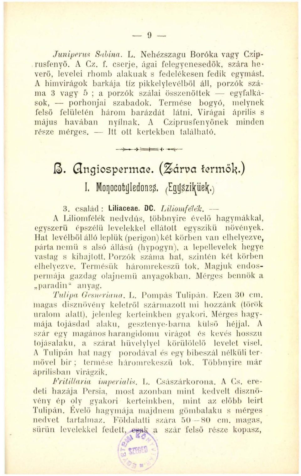 Virágai április s május havában nyílnak. A Cziprusfenyönek minden része mérges. Itt ott kertekben található. ß. (Jngiospermae. (Zárva fermől*.) I. Monocotyledons^. (Egyszikűéig 3. család : Liliaceae.